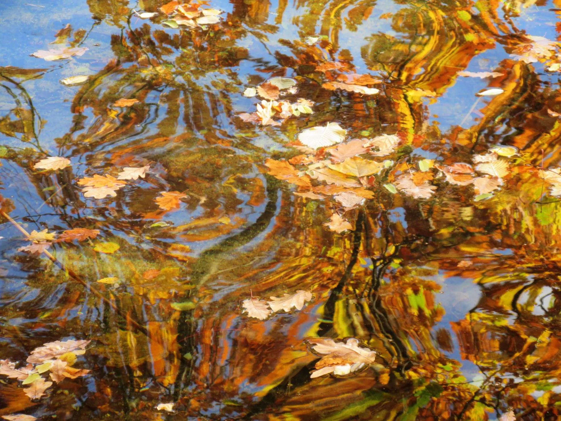 Herbstwasser